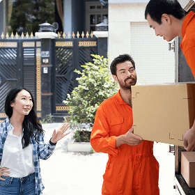 Pipe Installation & Replacement